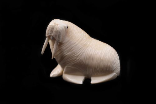 WALRUS IVORY CARVING